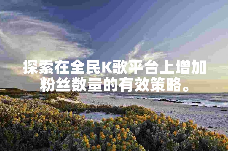 探索在全民K歌平台上增加粉丝数量的有效策略。