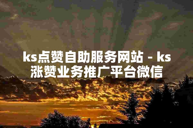 ks点赞自助服务网站 - ks涨赞业务推广平台微信