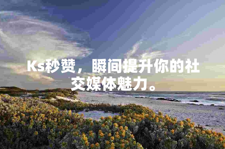 Ks秒赞，瞬间提升你的社交媒体魅力。