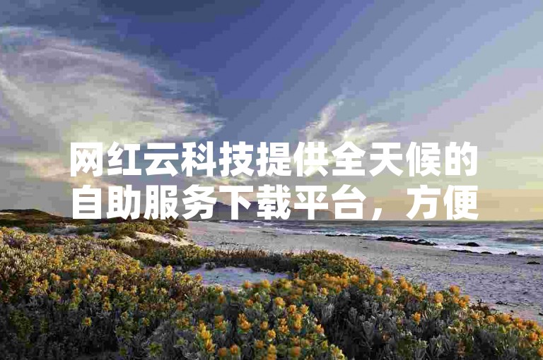 网红云科技提供全天候的自助服务下载平台，方便用户随时下单。