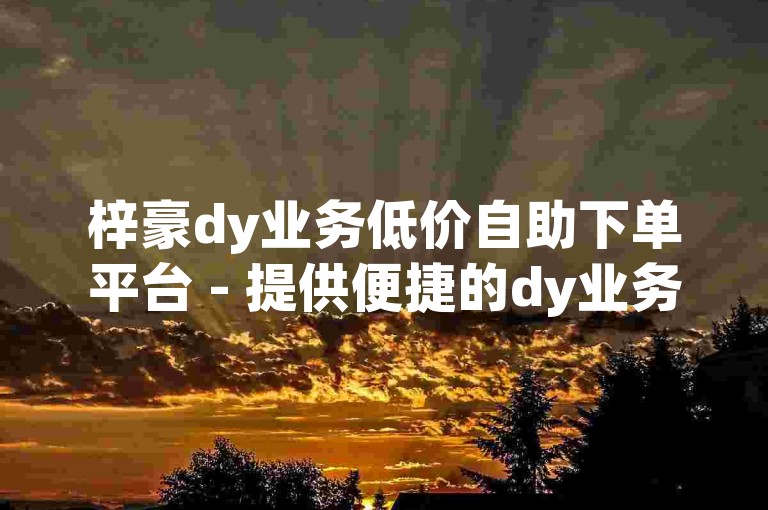 梓豪dy业务低价自助下单平台 - 提供便捷的dy业务服务，雷神助力免费自助下单。