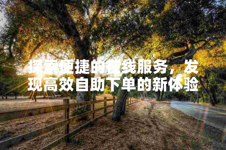 探索便捷的在线服务，发现高效自助下单的新体验。