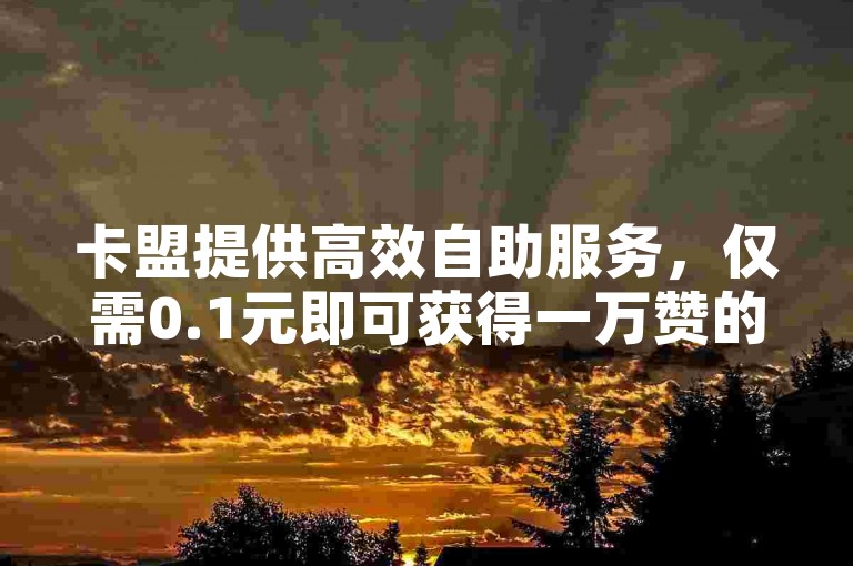 卡盟提供高效自助服务，仅需0.1元即可获得一万赞的超值体验。