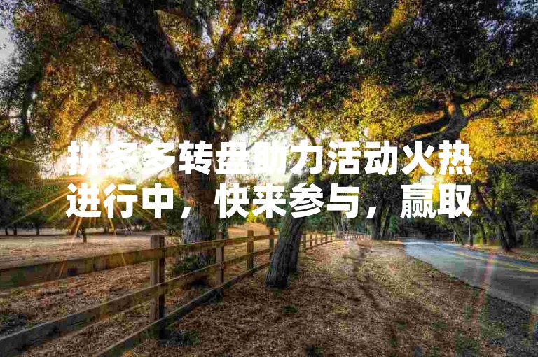 拼多多转盘助力活动火热进行中，快来参与，赢取丰厚福利，让购物狂欢更加尽兴！
