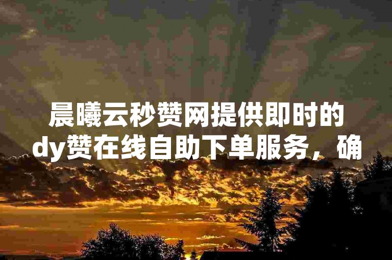 晨曦云秒赞网提供即时的dy赞在线自助下单服务，确保您的点赞瞬间到达。