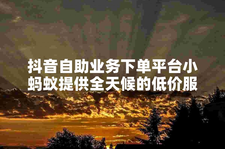 抖音自助业务下单平台小蚂蚁提供全天候的低价服务，让你轻松享受ks业务。