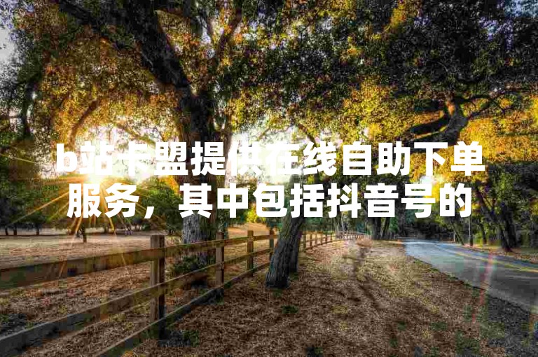 b站卡盟提供在线自助下单服务，其中包括抖音号的售卖。
