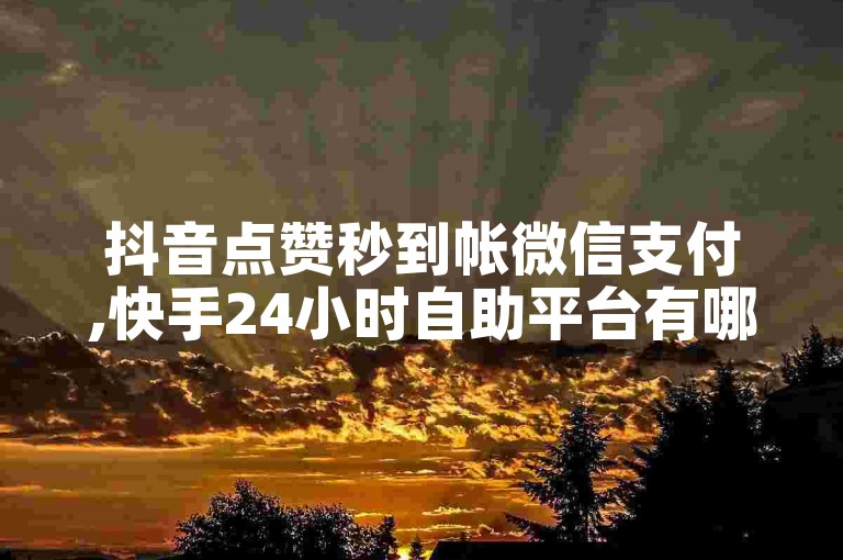 抖音点赞秒到帐微信支付,快手24小时自助平台有哪些 - Dou24小时低价秒单业务 - 微信点赞数怎么增加免费