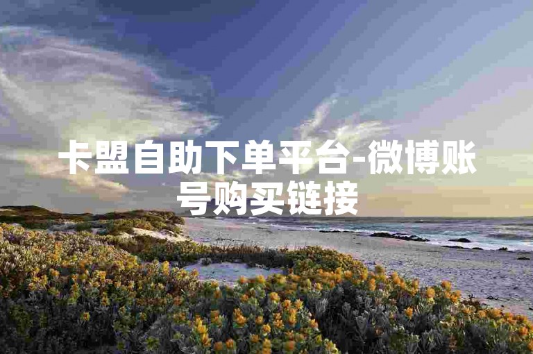 卡盟自助下单平台-微博账号购买链接