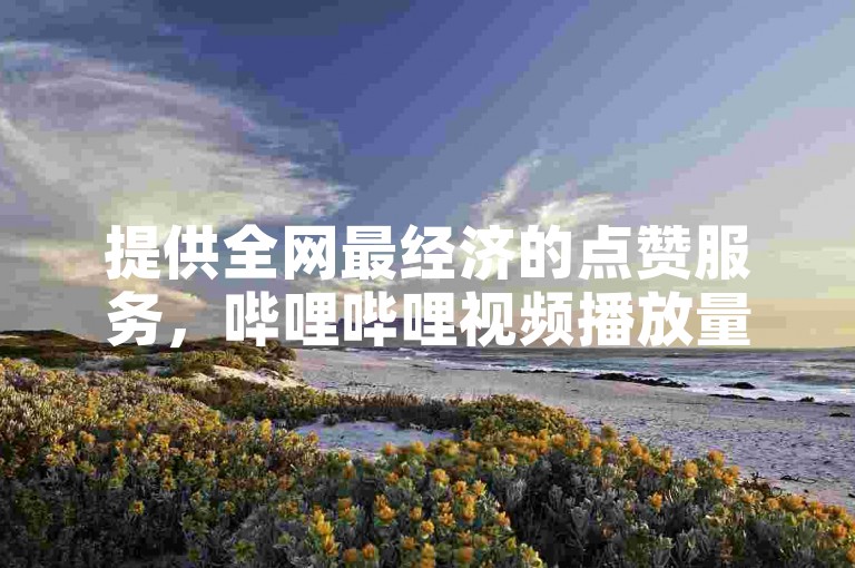 提供全网最经济的点赞服务，哔哩哔哩视频播放量提升解决方案。