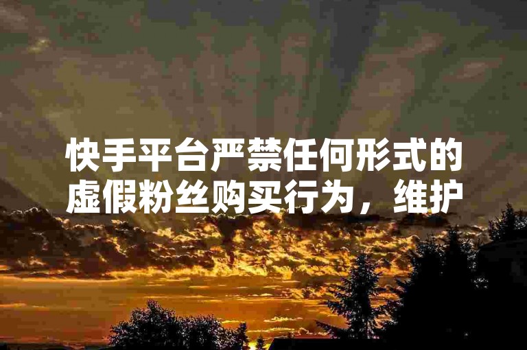 快手平台严禁任何形式的虚假粉丝购买行为，维护网络生态的公平与真实。
