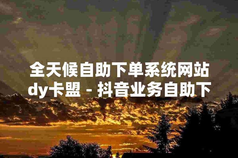 全天候自助下单系统网站dy卡盟 - 抖音业务自助下单，价格全网最优惠。