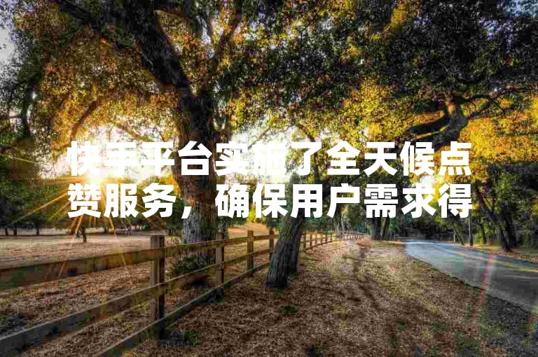快手平台实施了全天候点赞服务，确保用户需求得到及时满足。