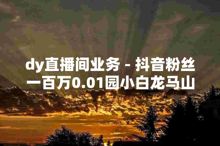 dy直播间业务 - 抖音粉丝一百万0.01园小白龙马山肥大地房产装修网站