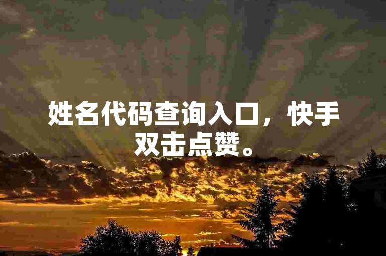 姓名代码查询入口，快手双击点赞。