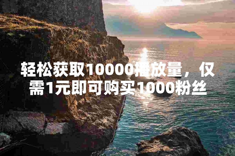 轻松获取10000播放量，仅需1元即可购买1000粉丝的下单平台。