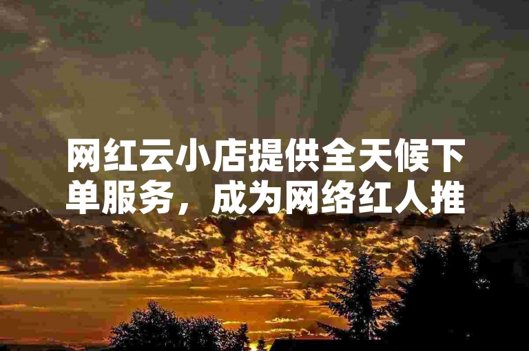 网红云小店提供全天候下单服务，成为网络红人推广的得力助手。