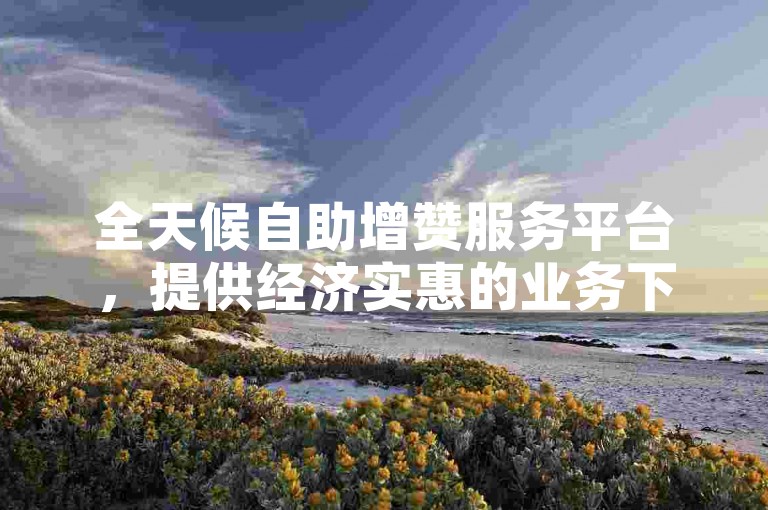 全天候自助增赞服务平台，提供经济实惠的业务下单选项。