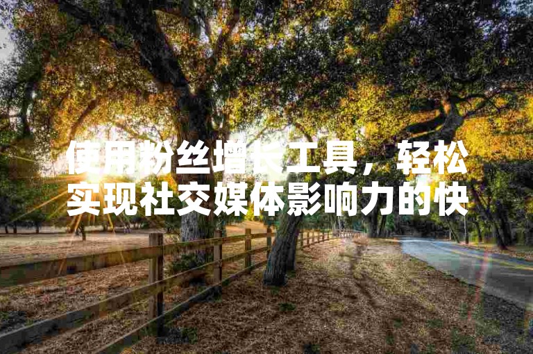 使用粉丝增长工具，轻松实现社交媒体影响力的快速提升。