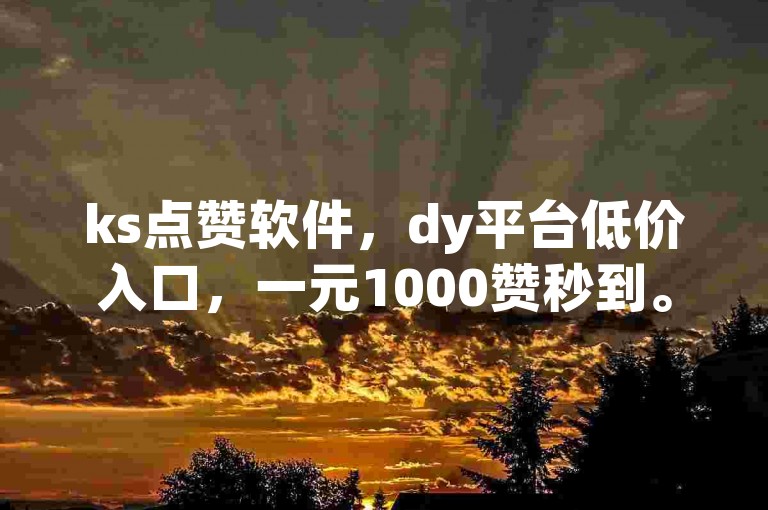 ks点赞软件，dy平台低价入口，一元1000赞秒到。