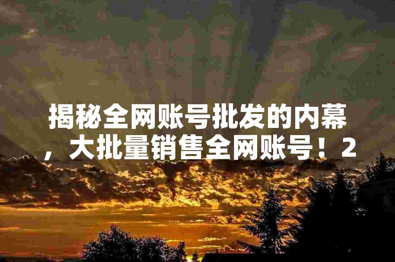 揭秘全网账号批发的内幕，大批量销售全网账号！2025年必备技能。