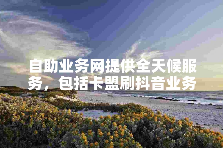 自助业务网提供全天候服务，包括卡盟刷抖音业务在内的24小时自助下单商城。