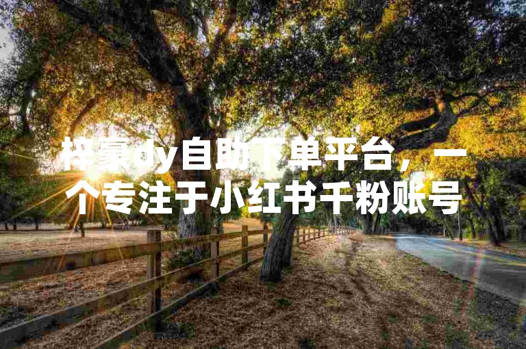 梓豪dy自助下单平台，一个专注于小红书千粉账号交易的便捷服务站点。