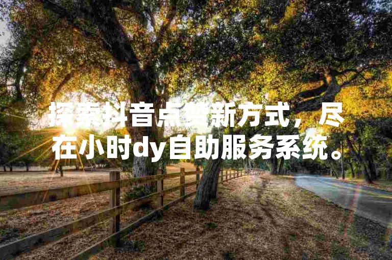探索抖音点赞新方式，尽在小时dy自助服务系统。