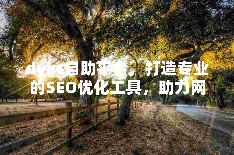 dyks自助平台，打造专业的SEO优化工具，助力网站流量飙升！