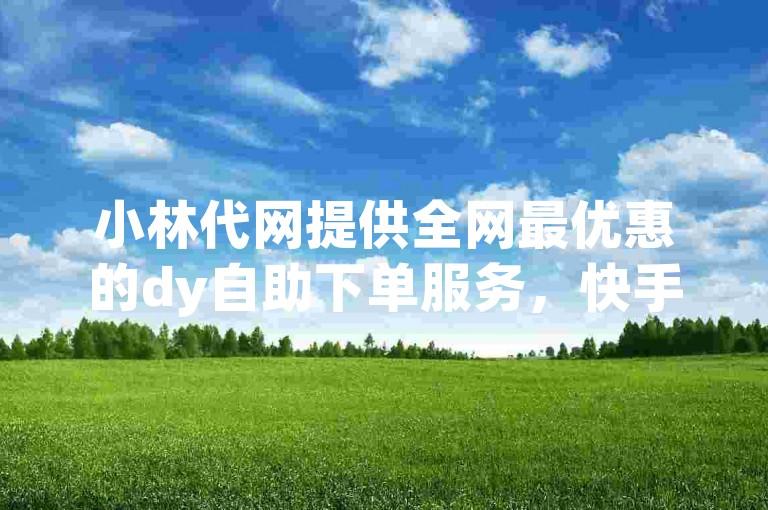 小林代网提供全网最优惠的dy自助下单服务，快手刷赞轻松搞定。