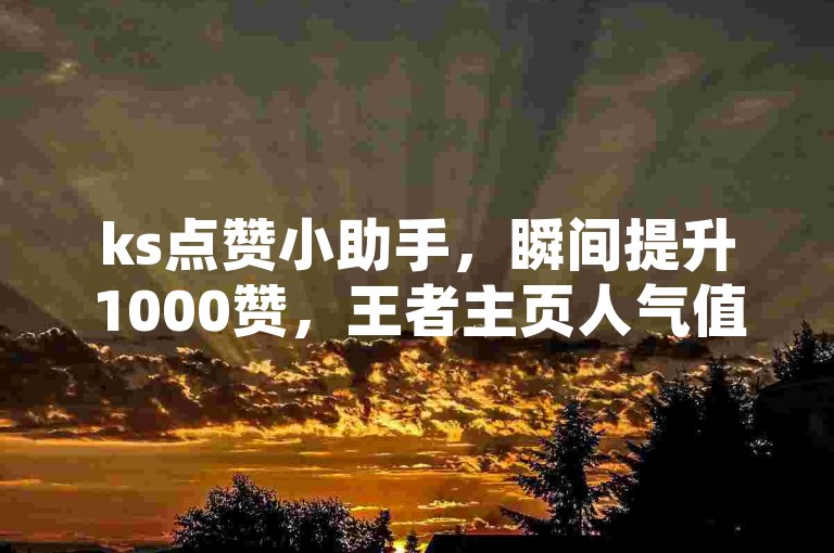 ks点赞小助手，瞬间提升1000赞，王者主页人气值网站快速涨粉。