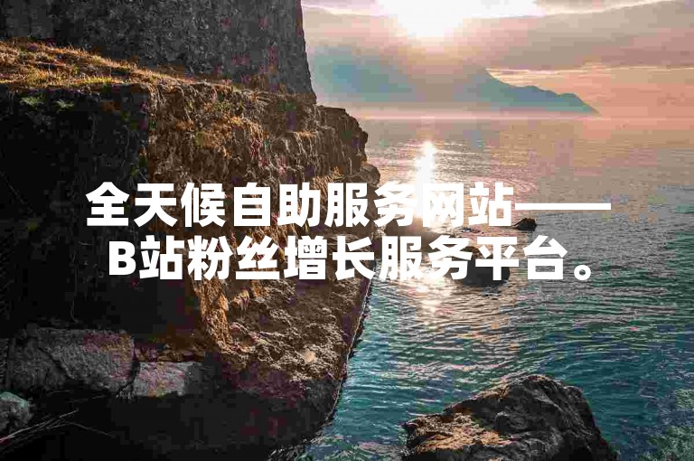 全天候自助服务网站——B站粉丝增长服务平台。