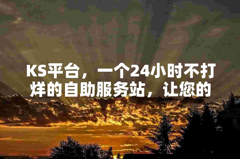 KS平台，一个24小时不打烊的自助服务站，让您的需求随时随地得到满足。