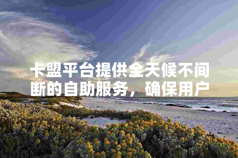 卡盟平台提供全天候不间断的自助服务，确保用户随时可以便捷地获取所需支持。