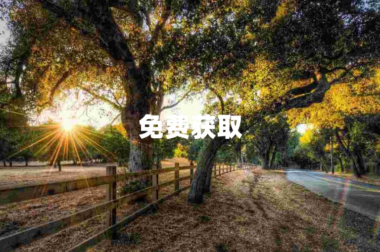 免费获取50次点赞服务 - 专业点赞小组全天候待命