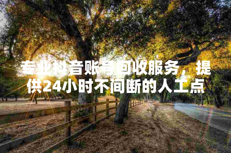 专业抖音账号回收服务，提供24小时不间断的人工点赞支持。