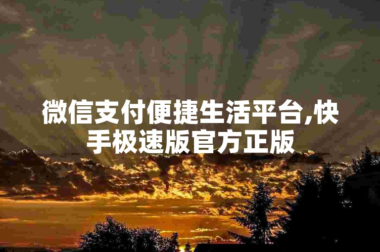 微信支付便捷生活平台,快手极速版官方正版