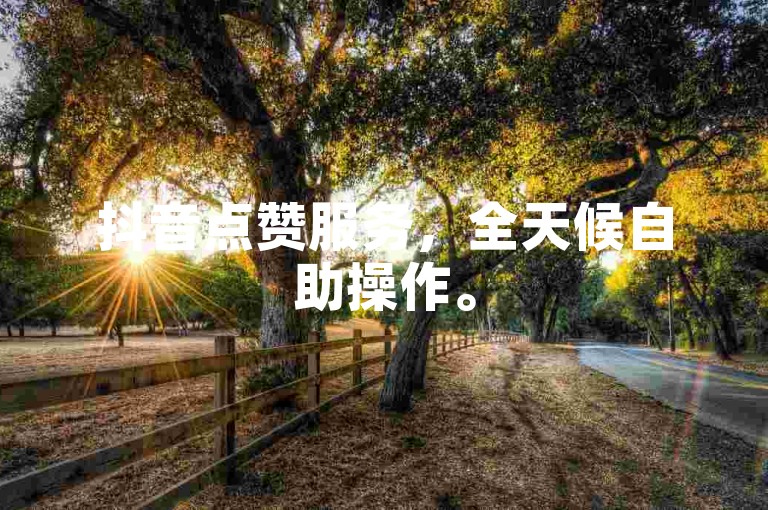 抖音点赞服务，全天候自助操作。