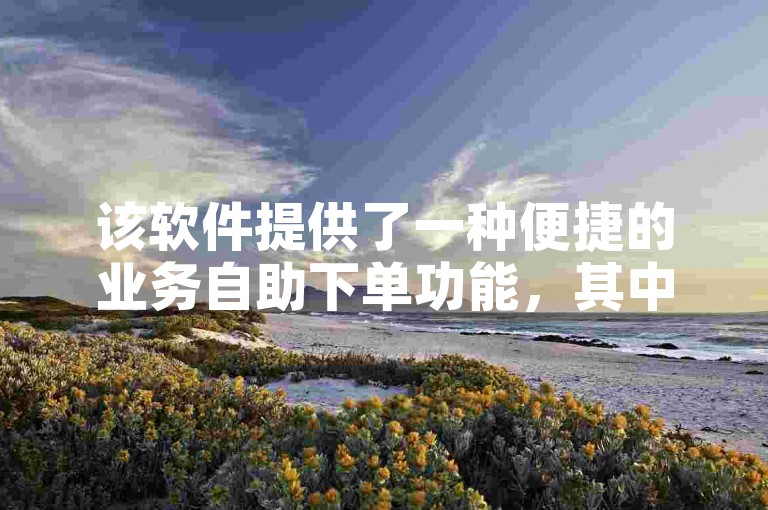 该软件提供了一种便捷的业务自助下单功能，其中包括了粉丝数量的自助管理。
