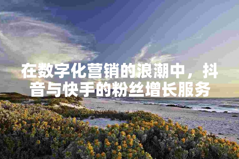 在数字化营销的浪潮中，抖音与快手的粉丝增长服务成为了热门话题，其中不乏提供自助下单平台的网站，旨在帮助用户快速增加粉丝数量。