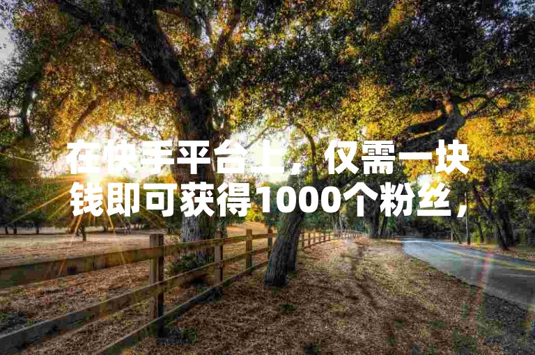 在快手平台上，仅需一块钱即可获得1000个粉丝，并附带111个点赞，这一服务通过自助云商城提供。