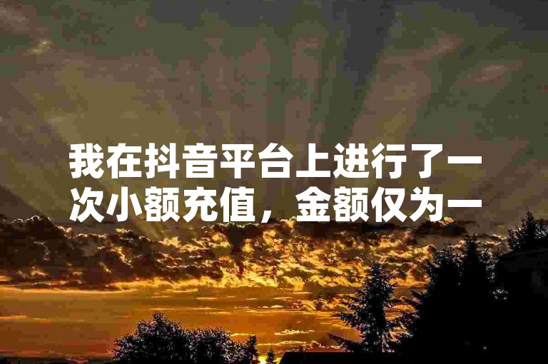 我在抖音平台上进行了一次小额充值，金额仅为一块钱。