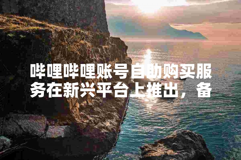 哔哩哔哩账号自助购买服务在新兴平台上推出，备受瞩目。