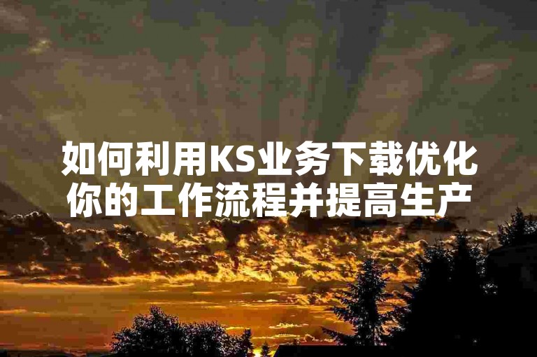 如何利用KS业务下载优化你的工作流程并提高生产力。