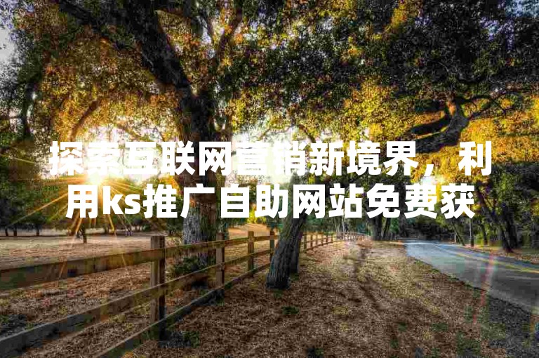 探索互联网营销新境界，利用ks推广自助网站免费获得快手免费赞，让您的内容迅速走红网络。