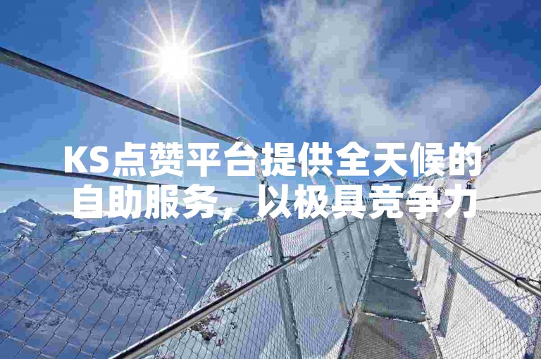 KS点赞平台提供全天候的自助服务，以极具竞争力的价格满足您的需求。