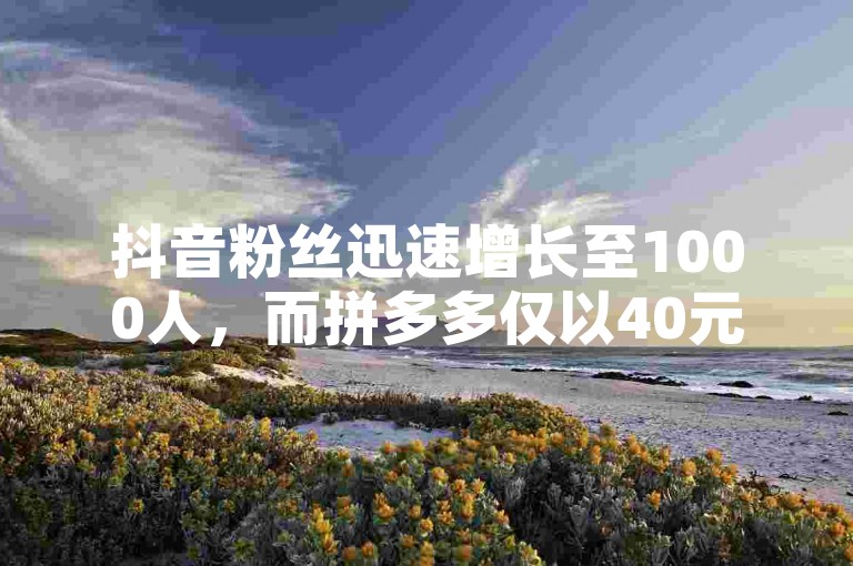 抖音粉丝迅速增长至1000人，而拼多多仅以40元的投入吸引了50位用户，效果尚不理想。