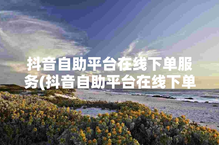 抖音自助平台在线下单服务(抖音自助平台在线下单正规)