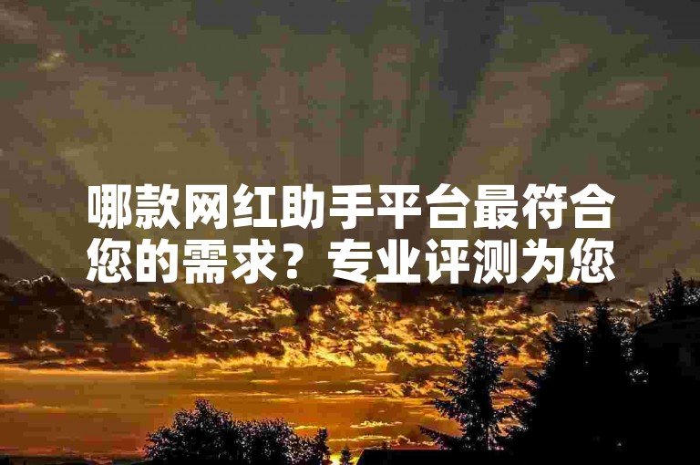 哪款网红助手平台最符合您的需求？专业评测为您揭示最佳选项！