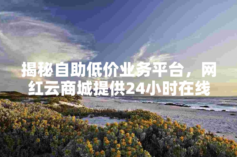 揭秘自助低价业务平台，网红云商城提供24小时在线下单服务，专为QQ空间业务设计！